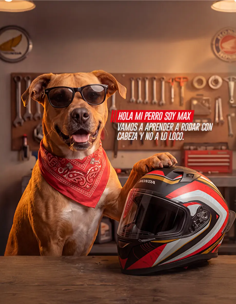 PERRITO-MAX-MOBILE