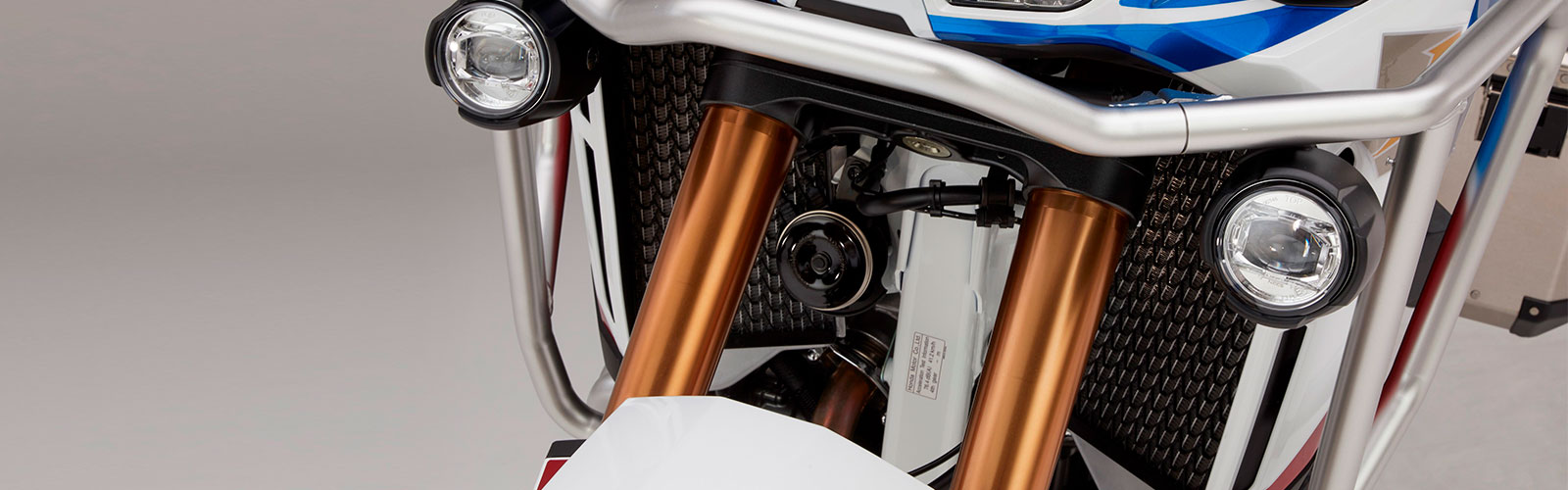 Africa twin