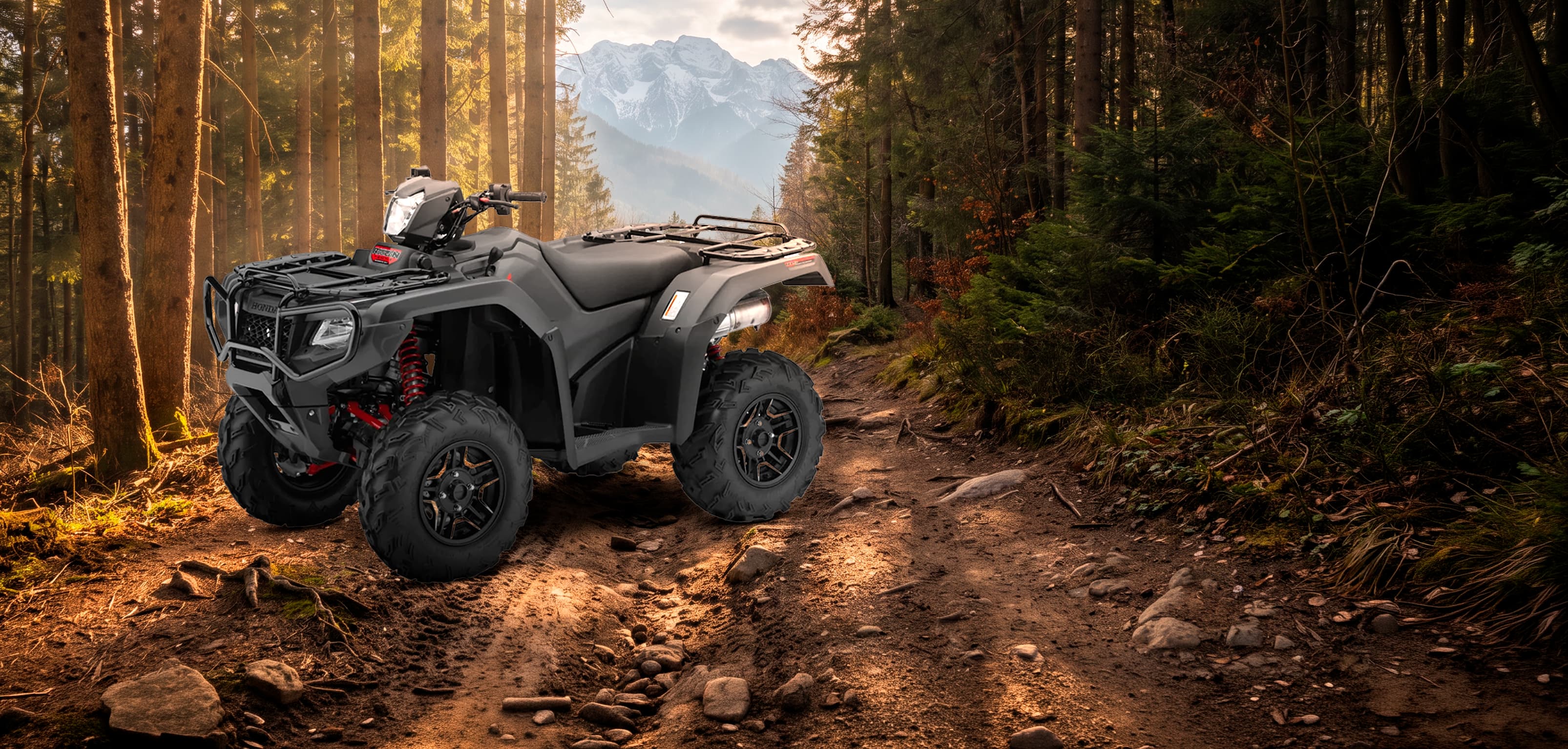 TRX 500 RUBICON