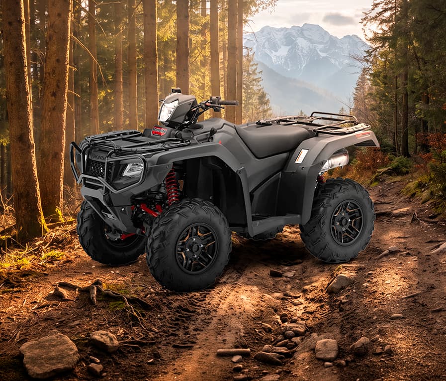 TRX 500 RUBICON
