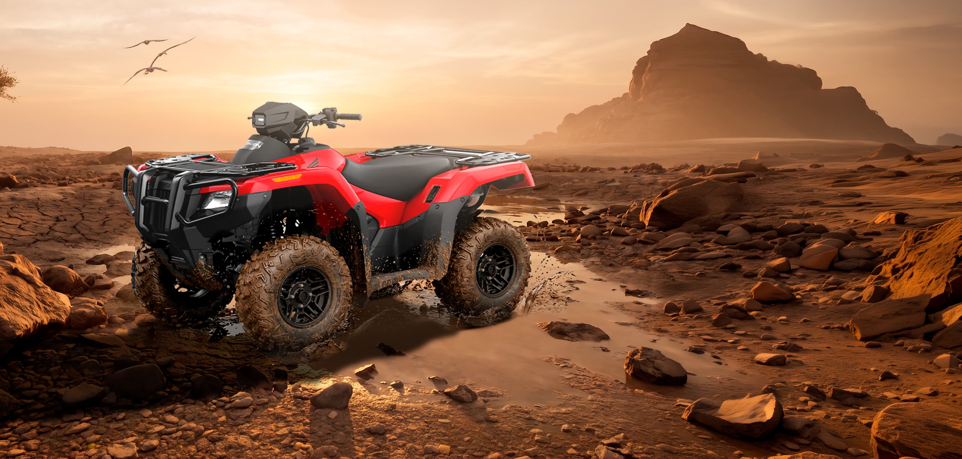 TRX 700 FA5