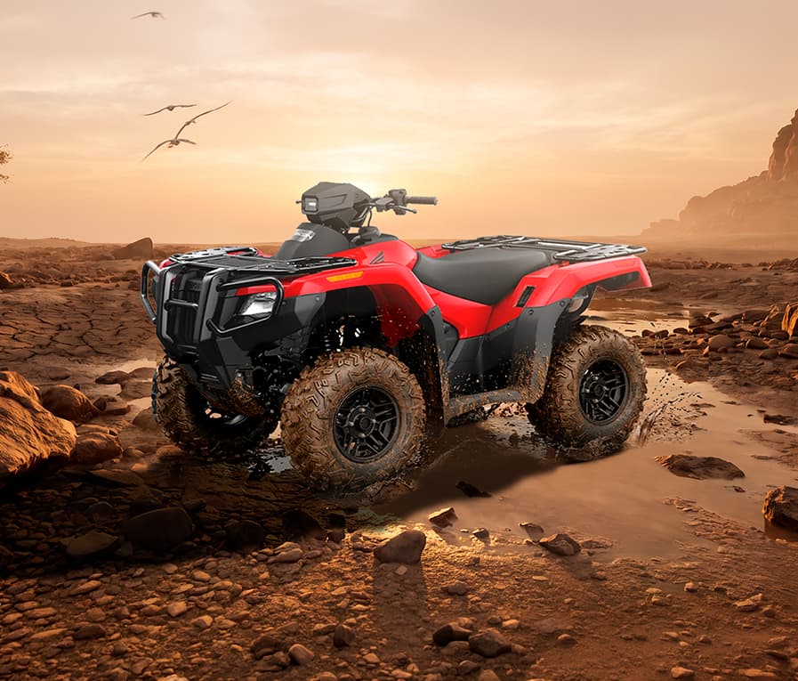 TRX 700 FA5