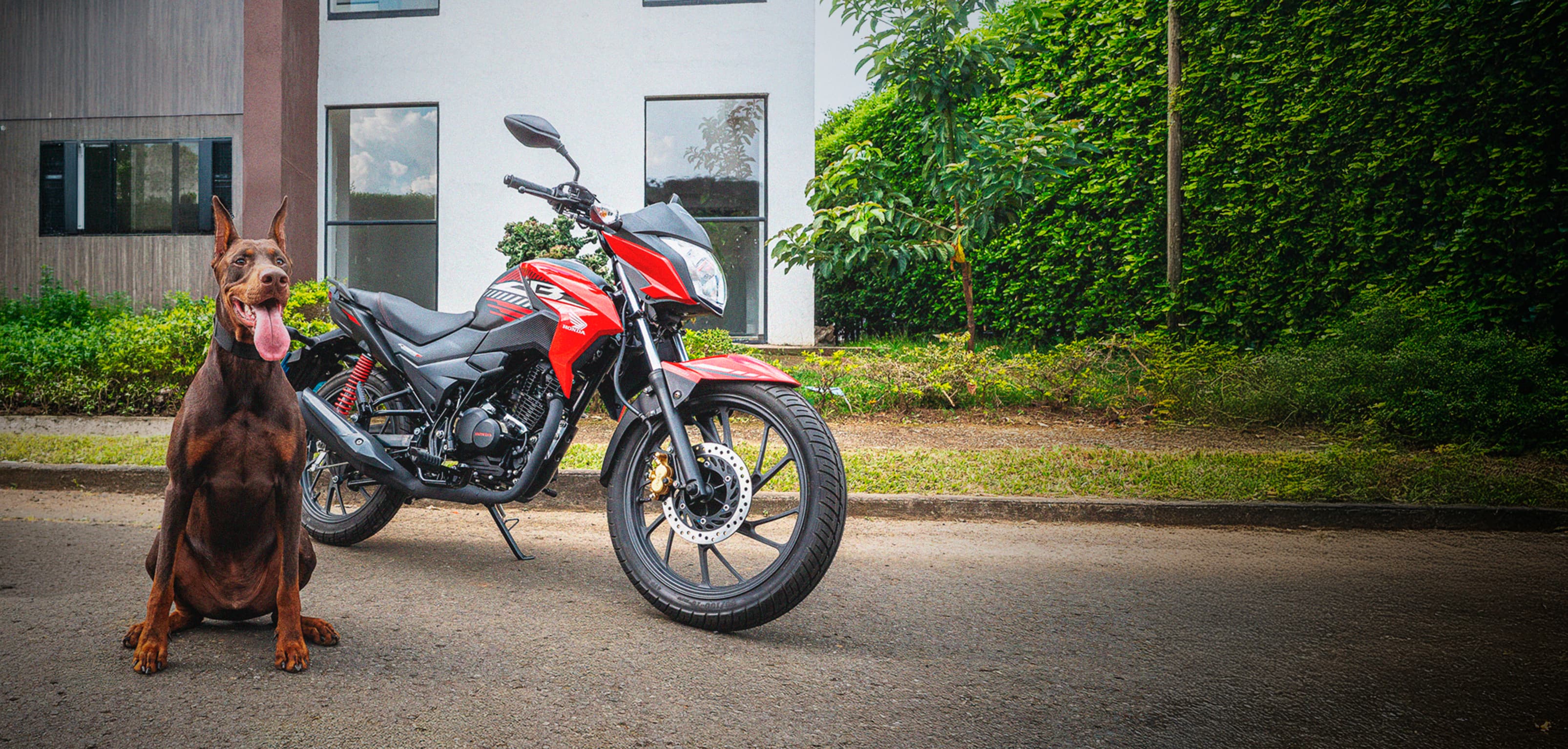 Conoce la Honda CB 125F DLX