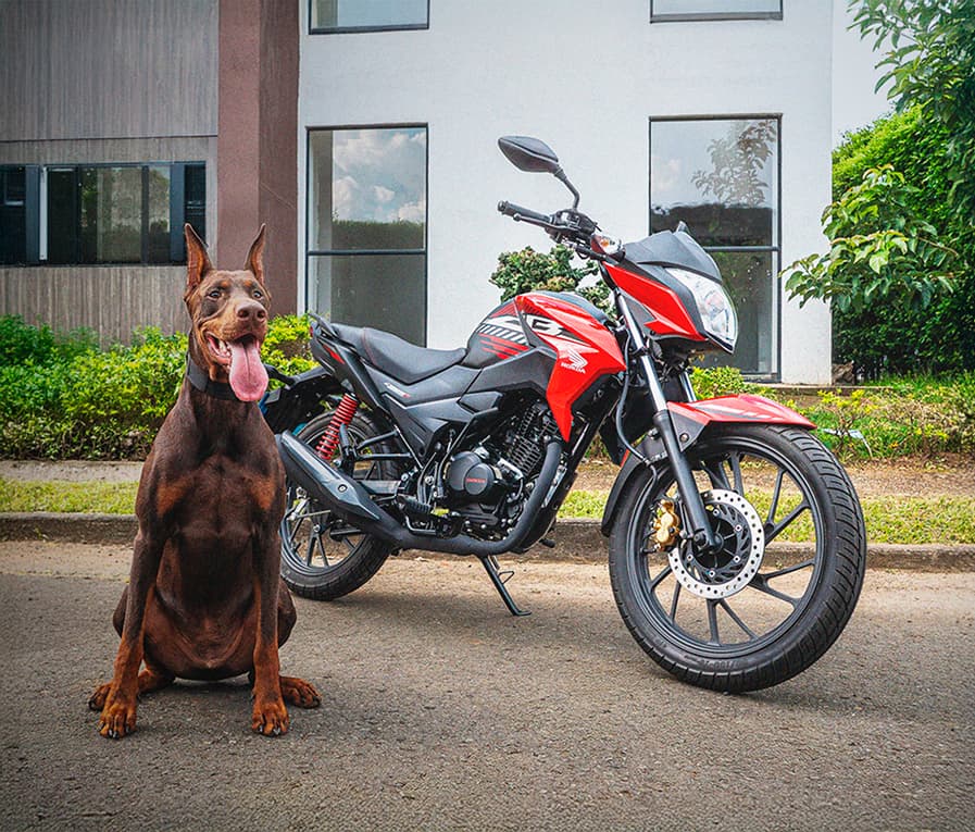 Conoce la Honda CB 125F STD