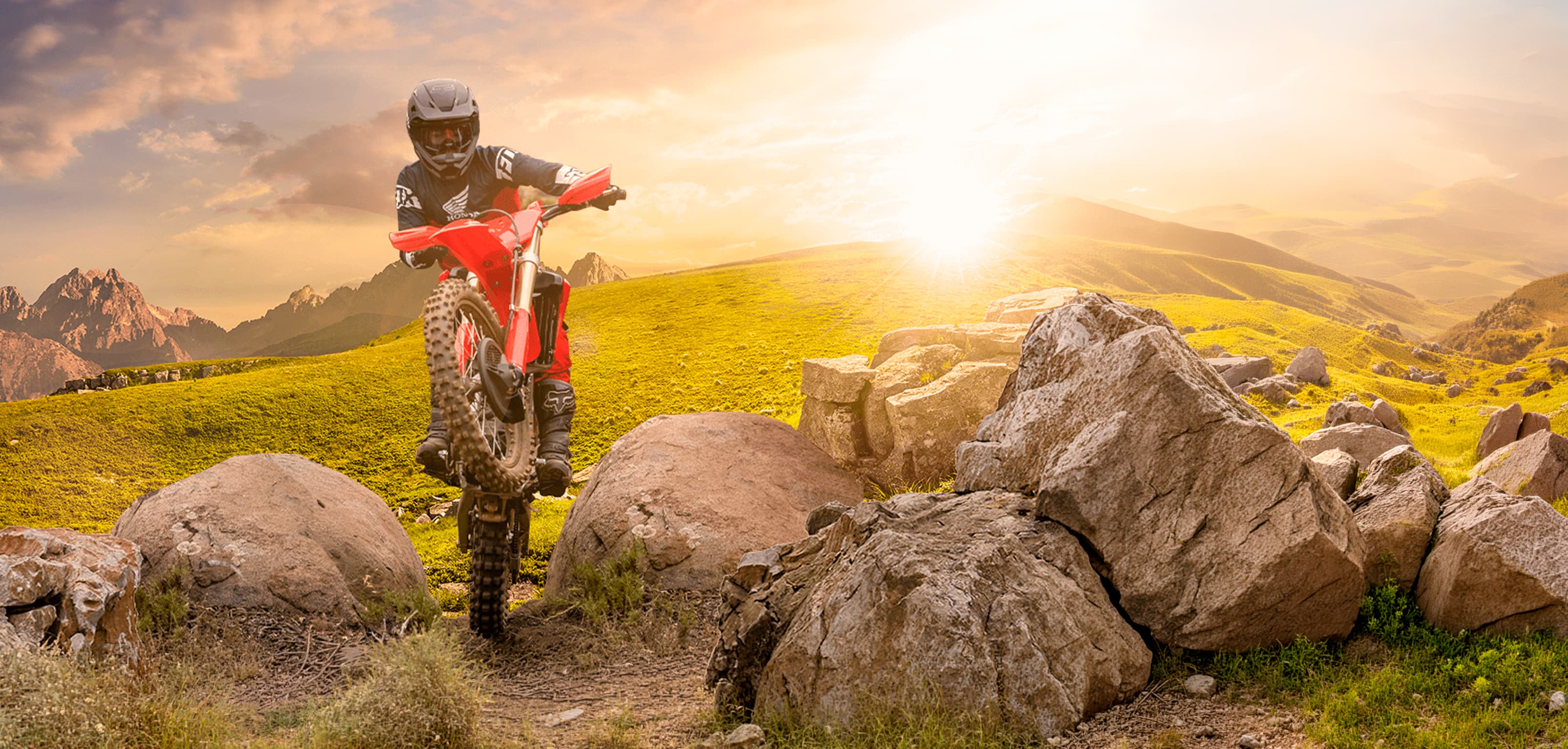 Honda CRF 250RX