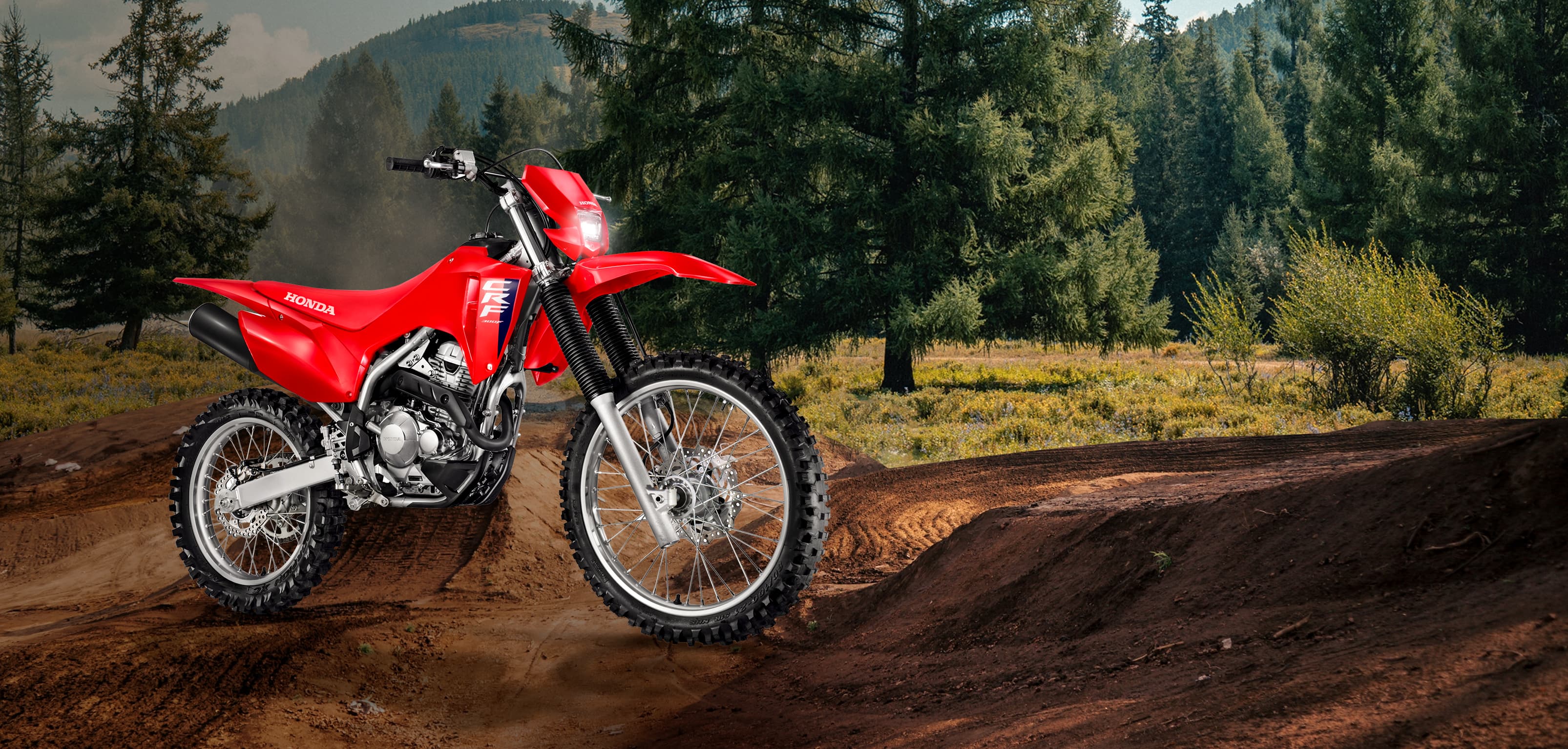 CRF 300F