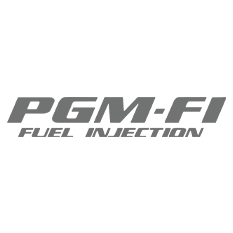 Icono PGM-FI