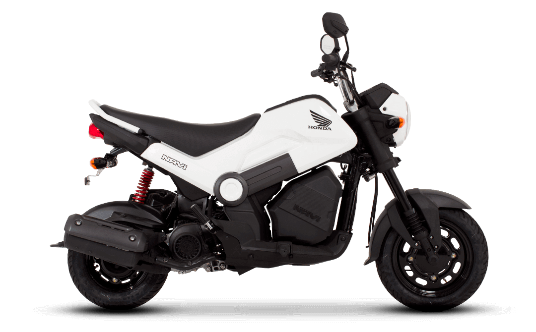 Navi blanca 2027