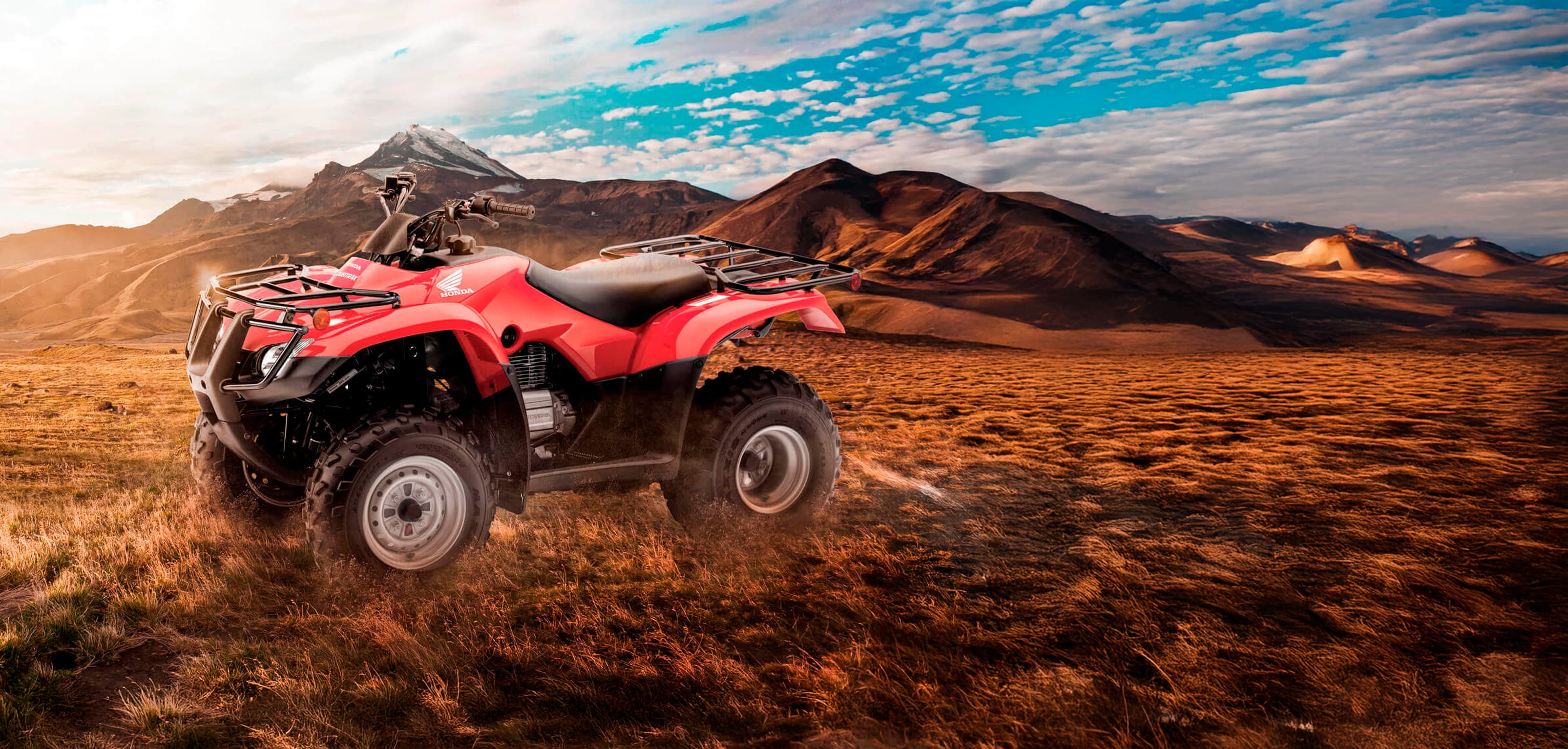 TRX 250TE