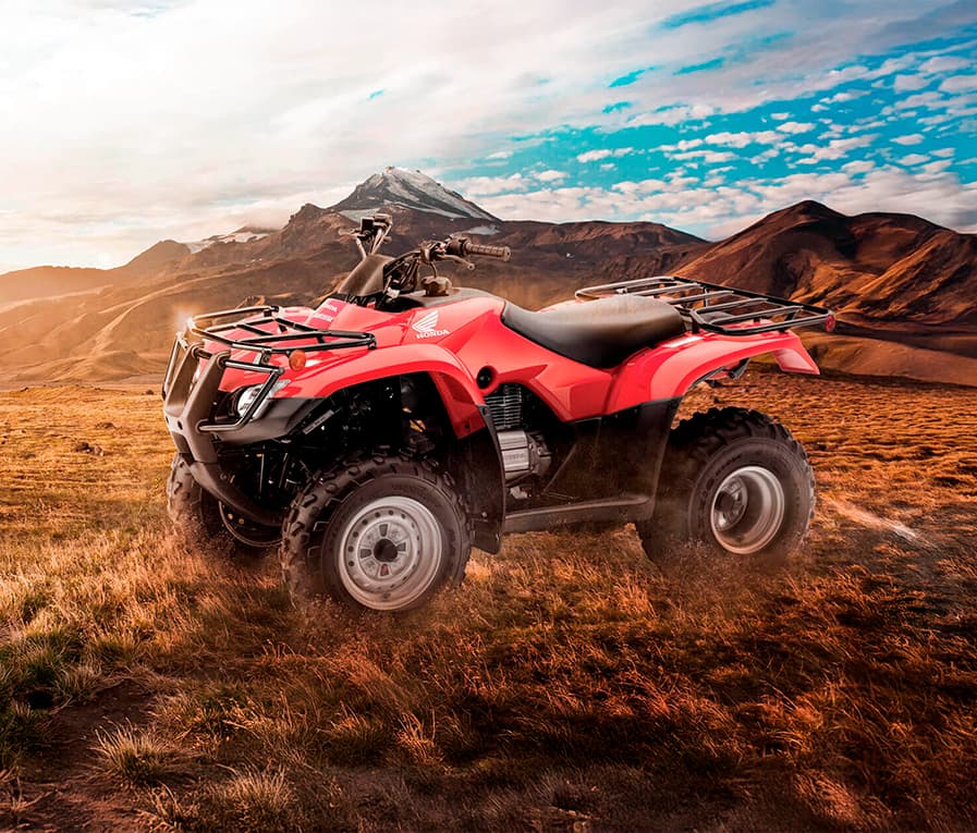 TRX 250TE
