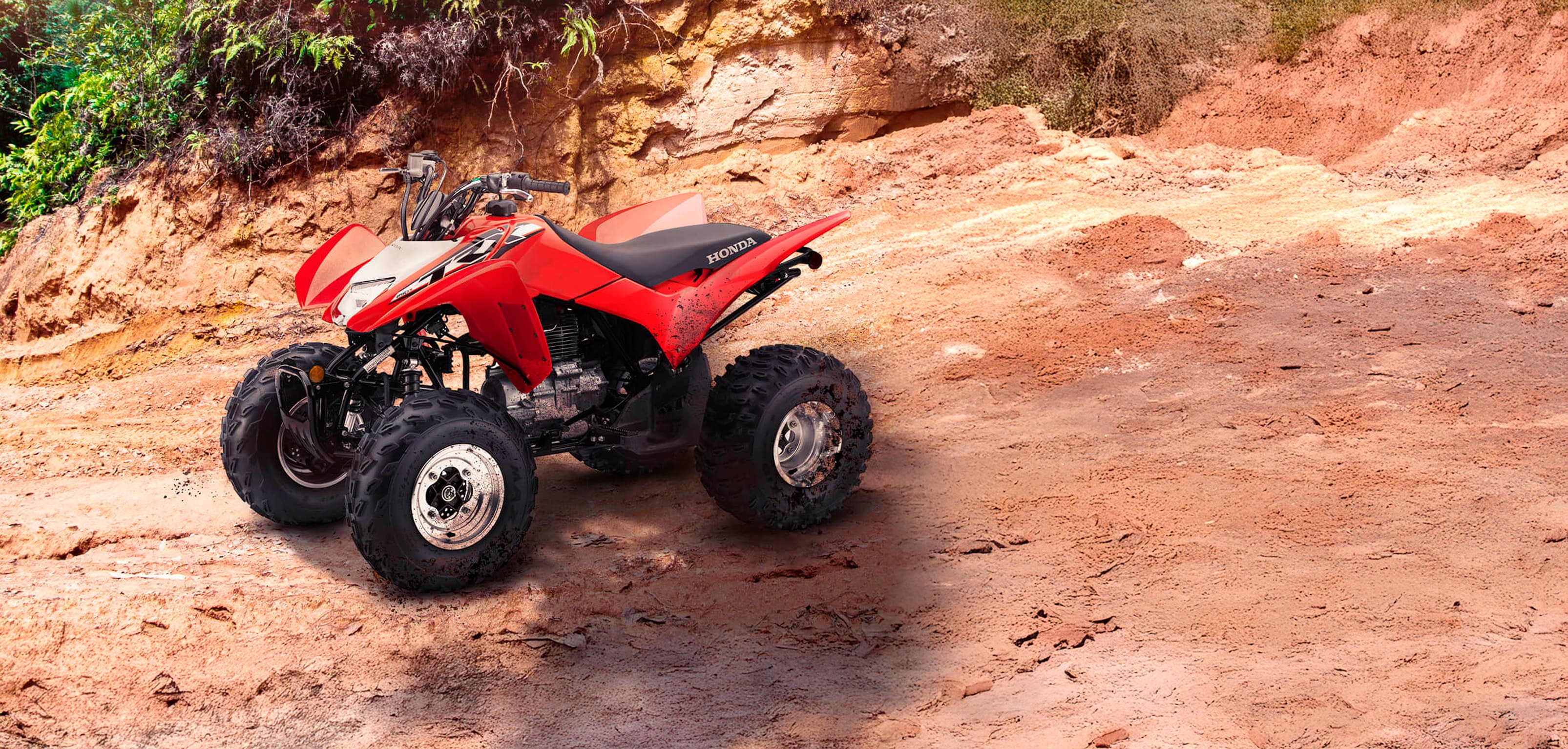 TRX 250X