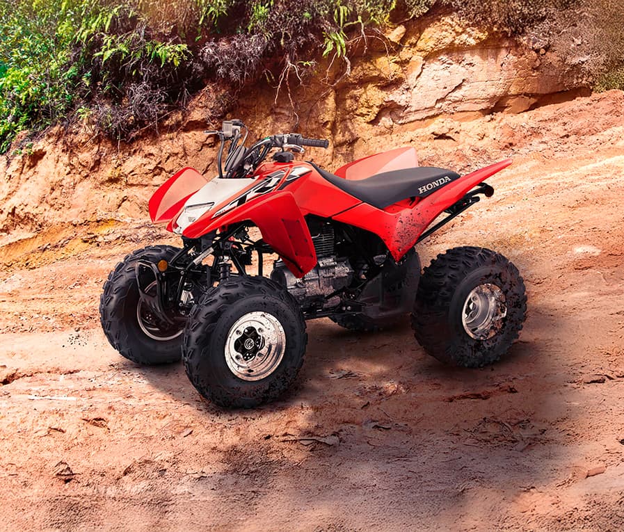TRX 250X