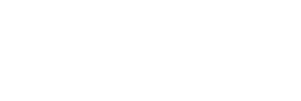 PIONEER1000-6-DLX-logo