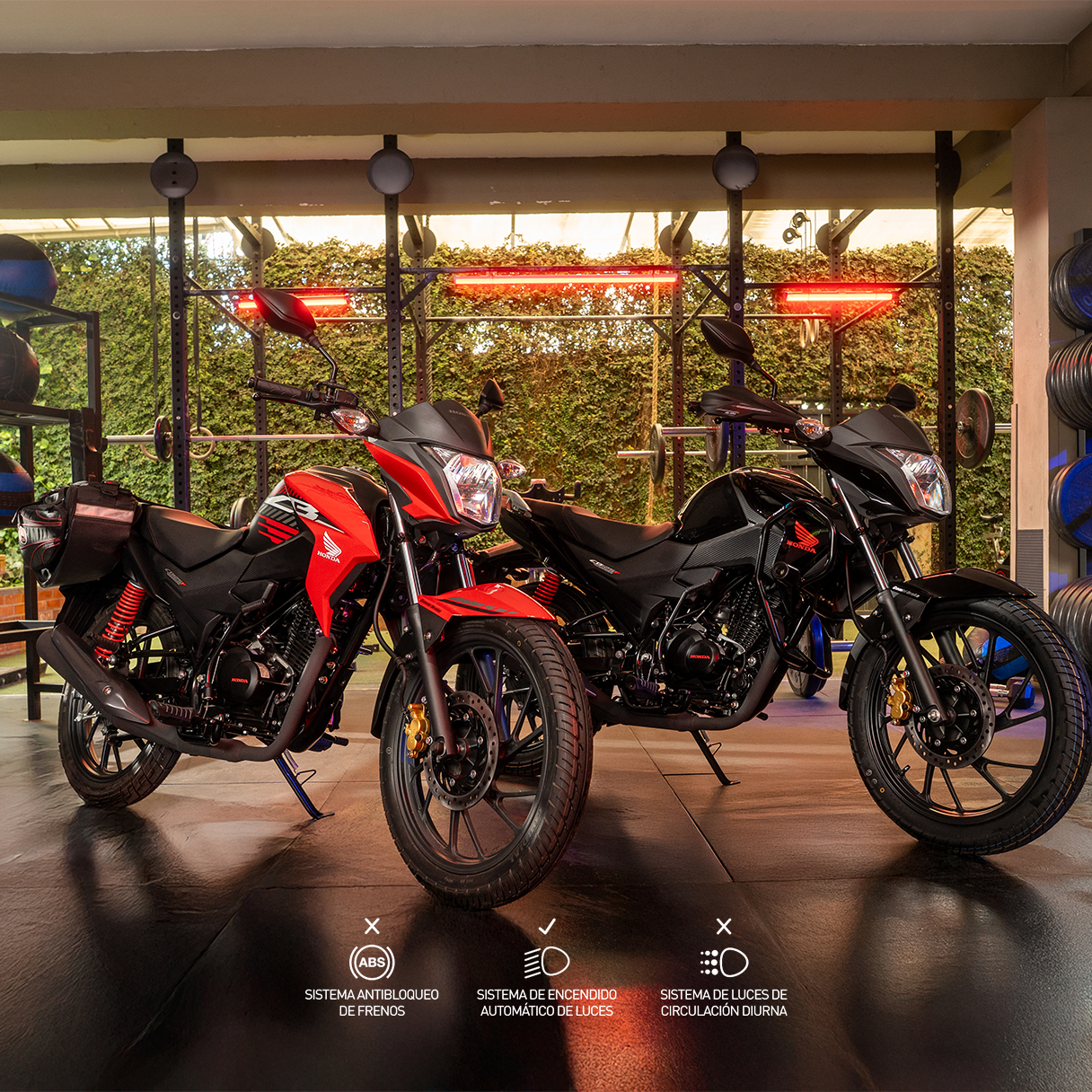 motocicletas honda cb 125 f roja y negra